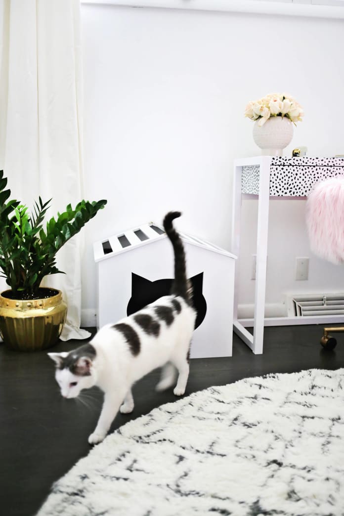 Kitty House Cover
