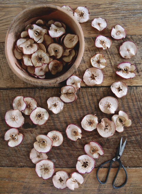 How to Make a Dried Apple Garland
